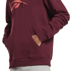 RI FLEECE HOOD REEBOK  for Men's Red HS0044 HS0044 цена и информация | Мужские толстовки | 220.lv