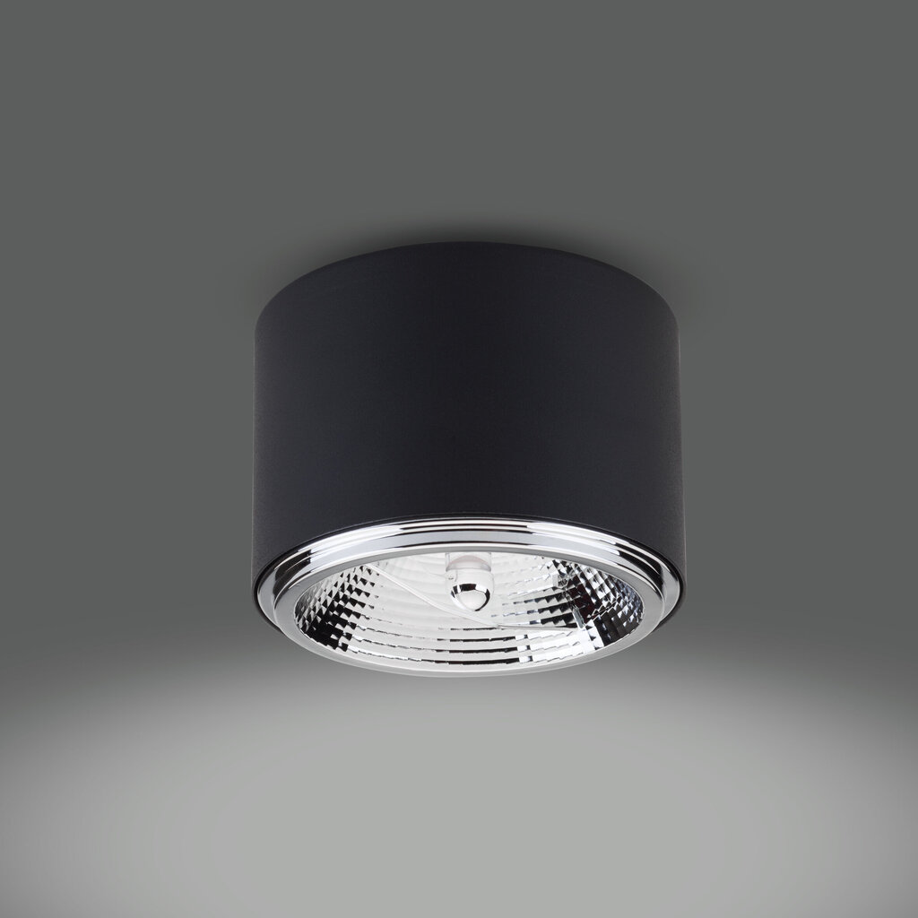 Griestu lampa TK Lighting Moris 3366 цена и информация | Griestu lampas | 220.lv