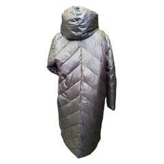 Зимнее пальто женское, серое цена и информация | Женские пальто | 220.lv