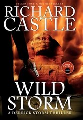 Wild Storm: A Derrick Storm Novel cena un informācija | Fantāzija, fantastikas grāmatas | 220.lv