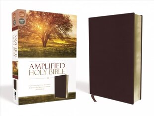 Amplified Holy Bible, Bonded Leather, Burgundy: Captures the Full Meaning Behind the Original Greek and Hebrew цена и информация | Духовная литература | 220.lv