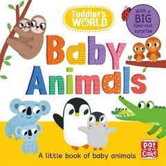 Toddler's World: Baby Animals цена и информация | Книги для подростков и молодежи | 220.lv