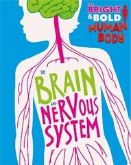 Bright and Bold Human Body: The Brain and Nervous System cena un informācija | Grāmatas pusaudžiem un jauniešiem | 220.lv