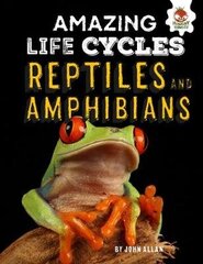 Reptiles and Amphibians - Amazing Life Cycles cena un informācija | Grāmatas pusaudžiem un jauniešiem | 220.lv