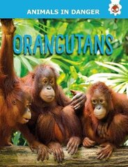 Orangutans: Animals In Danger cena un informācija | Grāmatas pusaudžiem un jauniešiem | 220.lv