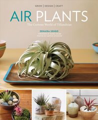 Air Plants: The Curious World of Tillandsias: The Curious World of Tillandsias цена и информация | Книги по садоводству | 220.lv