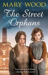Street Orphans цена и информация | Фантастика, фэнтези | 220.lv