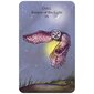 Spirit Animal Tarot : Includes an Inspirational Book and a Full Deck of Specially Commissioned Tarot cena un informācija | Ezotērika | 220.lv