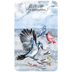 Spirit Animal Tarot : Includes an Inspirational Book and a Full Deck of Specially Commissioned Tarot цена и информация | Эзотерика | 220.lv