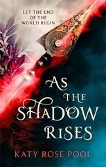 As the Shadow Rises: Book Two of The Age of Darkness cena un informācija | Fantāzija, fantastikas grāmatas | 220.lv