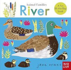 Animal Families: River цена и информация | Книги для малышей | 220.lv