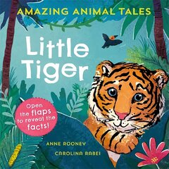 Amazing Animal Tales: Little Tiger 1 cena un informācija | Grāmatas mazuļiem | 220.lv