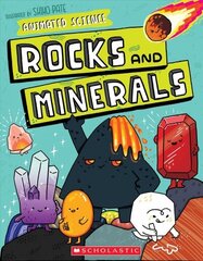 Animated Science: Rocks and Minerals цена и информация | Книги для подростков и молодежи | 220.lv