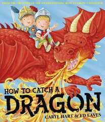 How To Catch a Dragon цена и информация | Книги для малышей | 220.lv