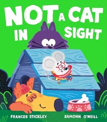 Not a Cat In Sight цена и информация | Книги для малышей | 220.lv