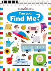 Can You Find Me? цена и информация | Книги для малышей | 220.lv