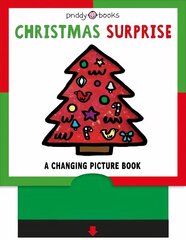 Christmas Surprise cena un informācija | Grāmatas mazuļiem | 220.lv