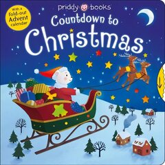 Countdown To Christmas цена и информация | Книги для малышей | 220.lv