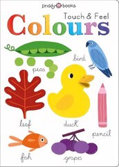 Touch and Feel Colours цена и информация | Книги для малышей | 220.lv