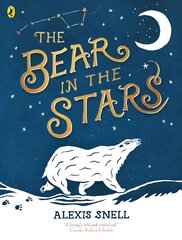 Bear in the Stars цена и информация | Книги для малышей | 220.lv