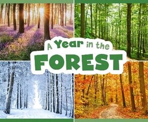 Year in the Forest cena un informācija | Grāmatas mazuļiem | 220.lv