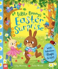 Little Bunny's Easter Surprise цена и информация | Книги для малышей | 220.lv