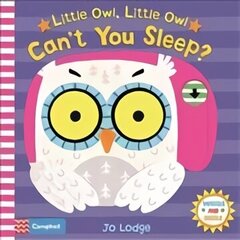 Little Owl, Little Owl Can't You Sleep? цена и информация | Книги для малышей | 220.lv