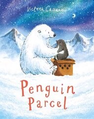 Penguin Parcel цена и информация | Книги для малышей | 220.lv