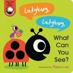 Ladybug, Ladybug, What Can You See? цена и информация | Книги для самых маленьких | 220.lv