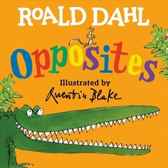 Roald Dahl Opposites цена и информация | Книги для самых маленьких | 220.lv