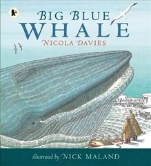 Big Blue Whale цена и информация | Книги для подростков и молодежи | 220.lv