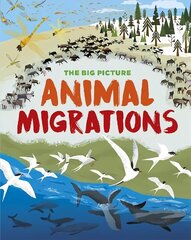 Big Picture: Animal Migrations cena un informācija | Grāmatas pusaudžiem un jauniešiem | 220.lv