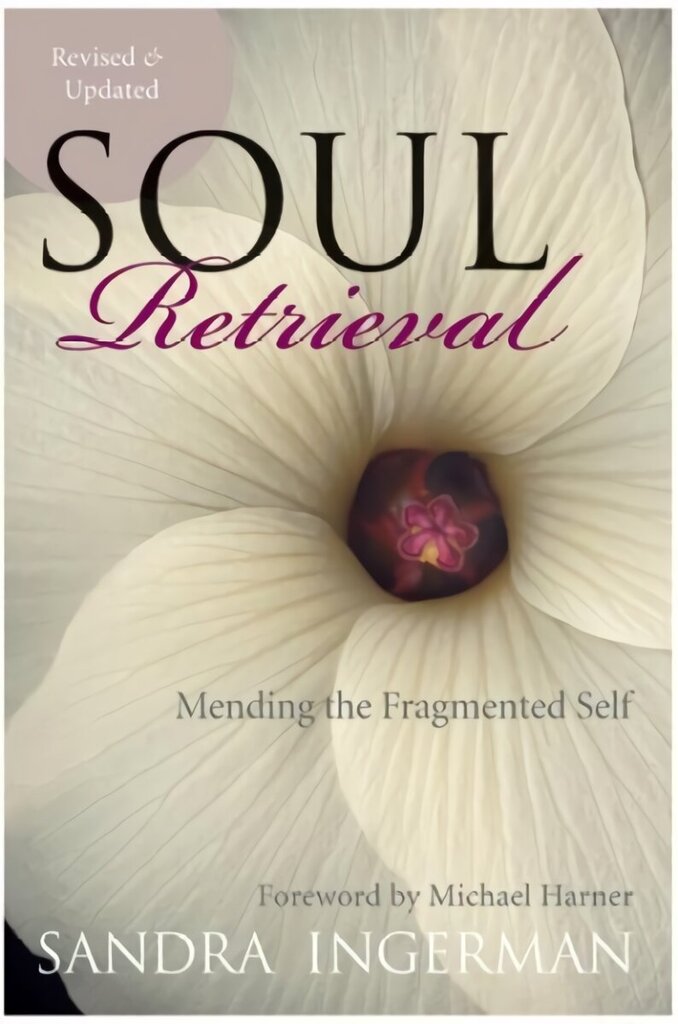 Soul Retrieval: Mending the Fragmented Self illustrated edition цена и информация | Pašpalīdzības grāmatas | 220.lv