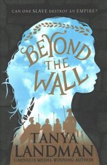 Beyond the Wall cena un informācija | Grāmatas pusaudžiem un jauniešiem | 220.lv