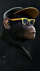 Алмазная мозаика обезьянка в очках 30х50 см цена и информация | Алмазная мозаика | 220.lv