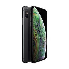 iPhone XS 256GB Space Gray (atjaunots, stāvoklis A) цена и информация | Мобильные телефоны | 220.lv