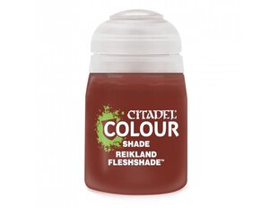 Citadel - Reikland Fleshshade (shade) akrila krāsa, 24ml, 24-24 cena un informācija | Modelēšanas un zīmēšanas piederumi | 220.lv