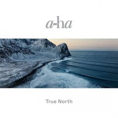 2LP a-ha True North (180g, Recycled Black Vinyl) LP Виниловая пластинка цена и информация | Виниловые пластинки, CD, DVD | 220.lv