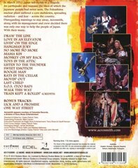 BLU-RAY DISC AEROSMITH ROCK FOR THE RISING SUN Live In Japan 2011 (Deluxe Edition) Blu-ray Disc цена и информация | Виниловые пластинки, CD, DVD | 220.lv