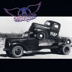 Vinila plate LP AEROSMITH Pump (180g) LP cena un informācija | Vinila plates, CD, DVD | 220.lv