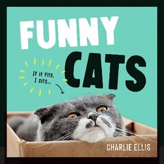 Funny Cats: A Hilarious Collection of the World's Funniest Felines and Most Relatable Memes cena un informācija | Fantāzija, fantastikas grāmatas | 220.lv