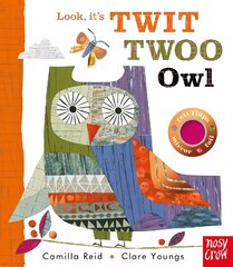 Look, It's Twit Twoo Owl цена и информация | Книги для самых маленьких | 220.lv