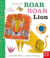 Look, it's Roar Roar Lion цена и информация | Книги для самых маленьких | 220.lv