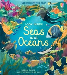 Look Inside Seas and Oceans cena un informācija | Grāmatas mazuļiem | 220.lv