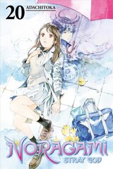 Noragami: Stray God 20 cena un informācija | Fantāzija, fantastikas grāmatas | 220.lv