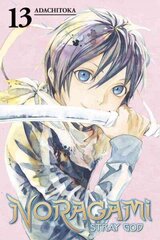 Noragami Volume 13, Vol. 13 cena un informācija | Fantāzija, fantastikas grāmatas | 220.lv