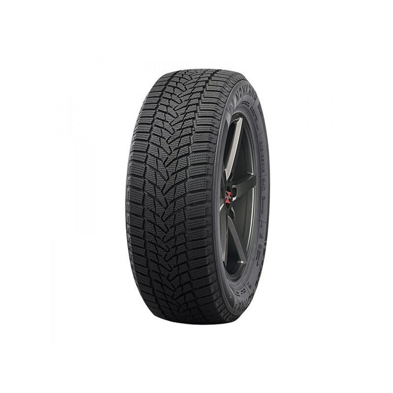 Lameļu tipa riepa Nankang 205/55R16 ICE-2 lāpītās C/C/B 94T XL цена и информация | Ziemas riepas | 220.lv