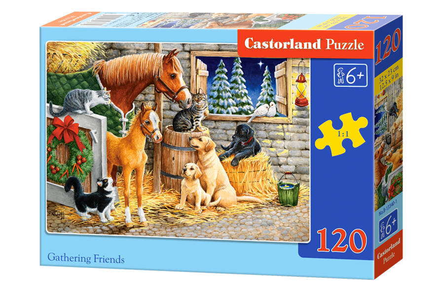 Puzle Castorland Gathering Friends, 120 daļu cena un informācija | Puzles, 3D puzles | 220.lv