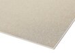 Narma paklājs Credo 300x400 cm cena un informācija | Paklāji | 220.lv