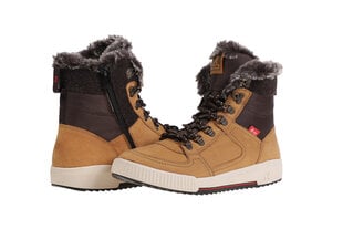 Мужские ботинки Rieker 62702_2980-43, коричневые цена и информация | Мужские ботинки | 220.lv